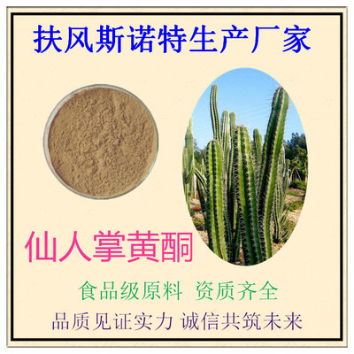 仙人掌黃酮10%-50%規格定制 扶風斯諾特引領植物提取物研發創新